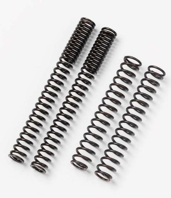 Ressorts de fourche Bitubo Ref : BITU00295A / 1021620