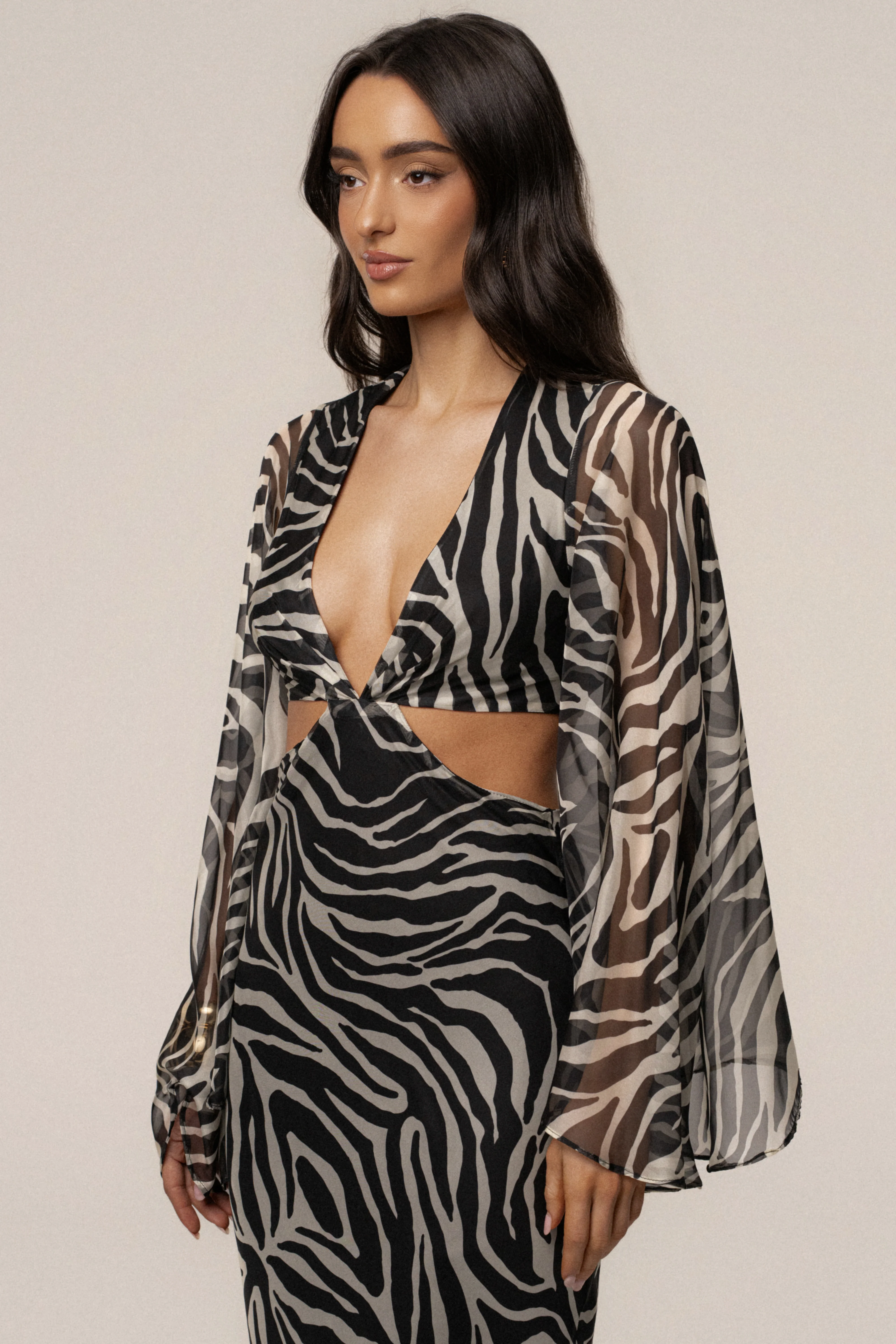Black Zebra Instincts Print Maxi Dress