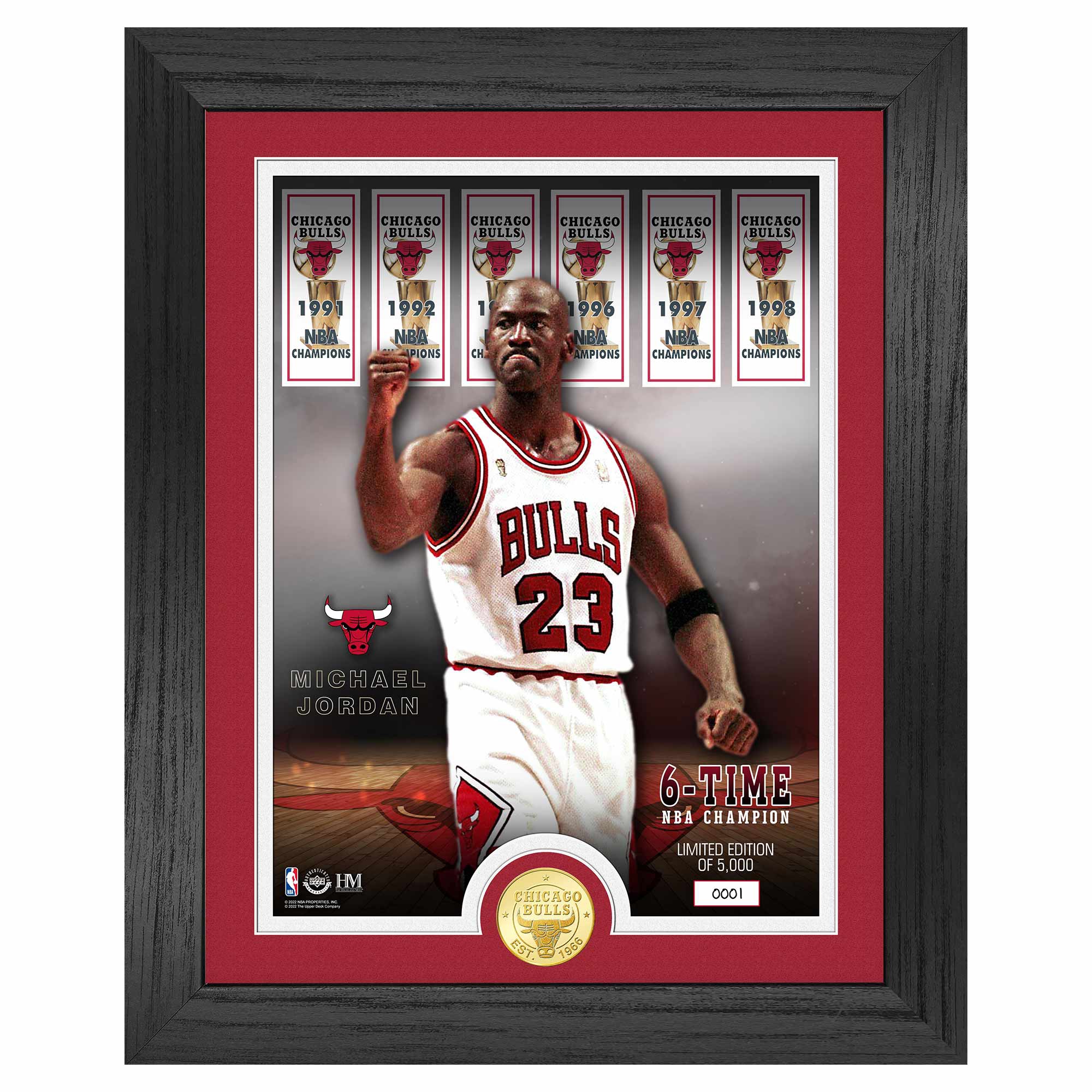Michael Jordan Chicago Bulls Bronze Coin Framed NBA Photo