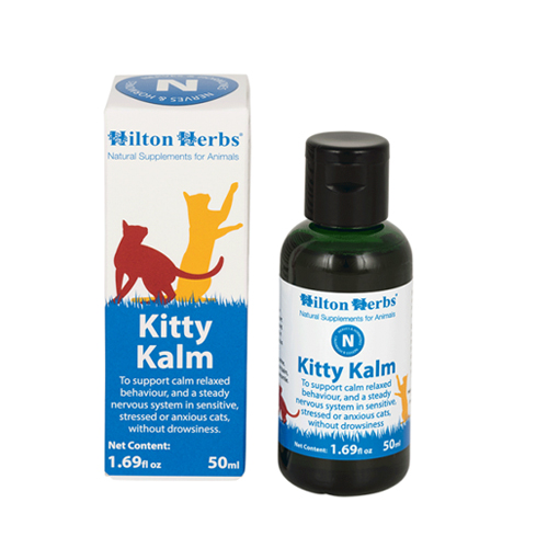 Hilton Herbs Kitty Kalm for Cats - 50ml