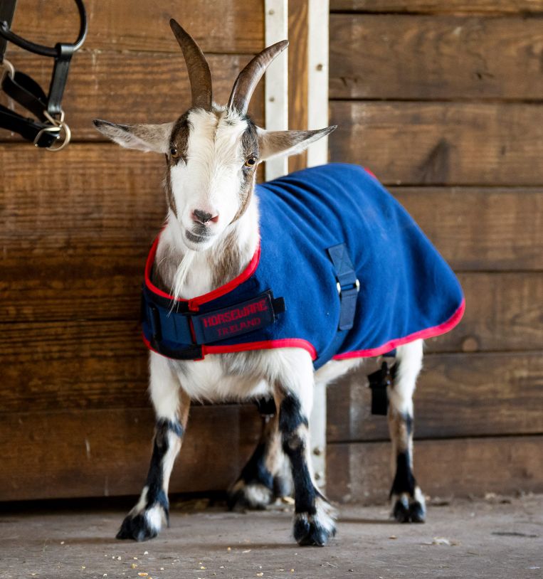 Horseware® Goat Fleece