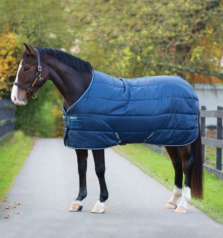 Amigo® Insulator 350g