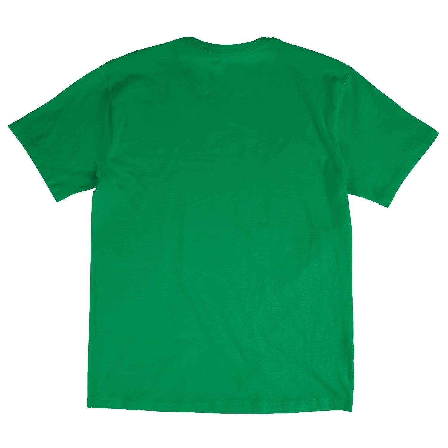 Boston Celtics Worn Logo Mitchell & Ness NBA T-Shirt Green