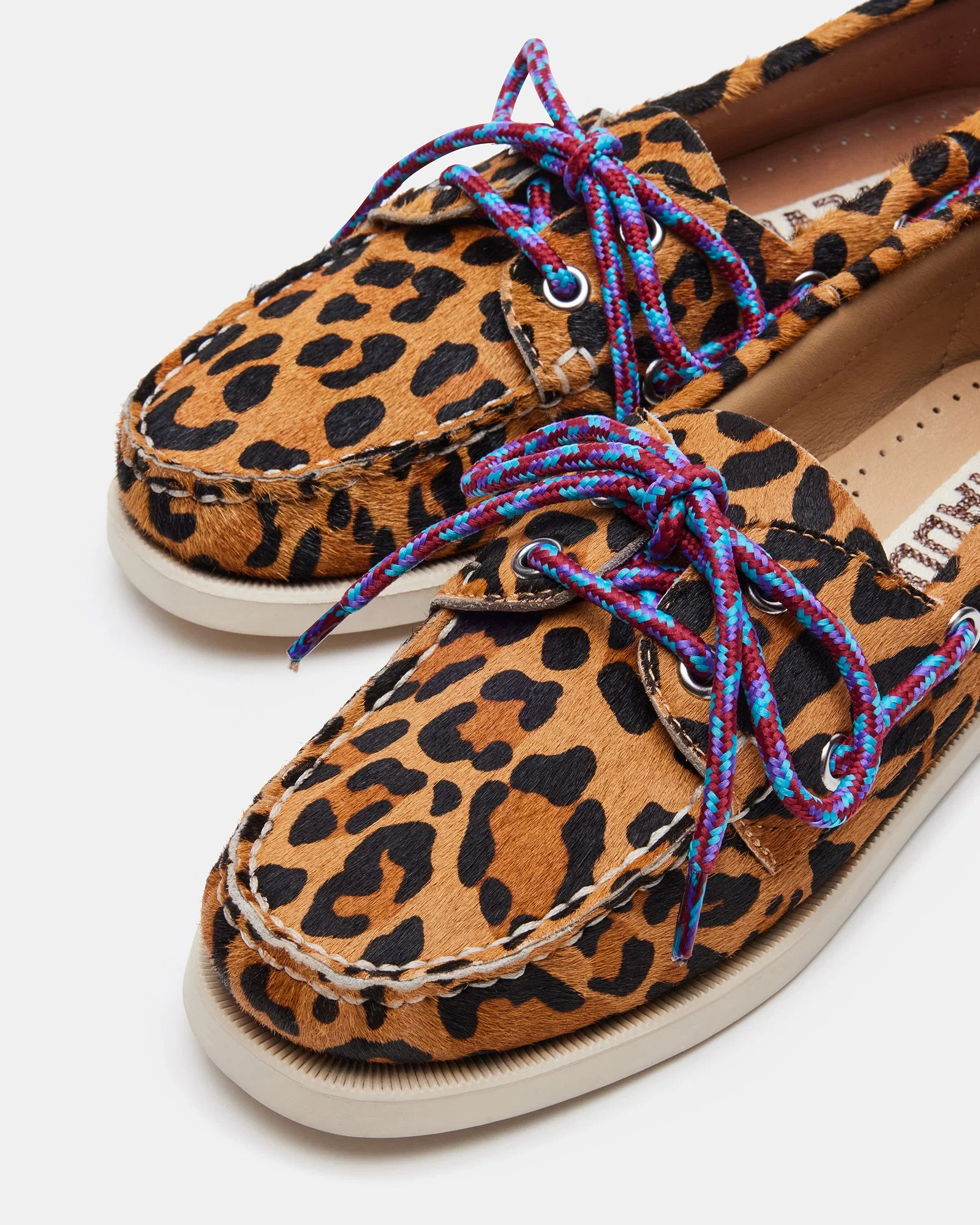 Sail Leopard