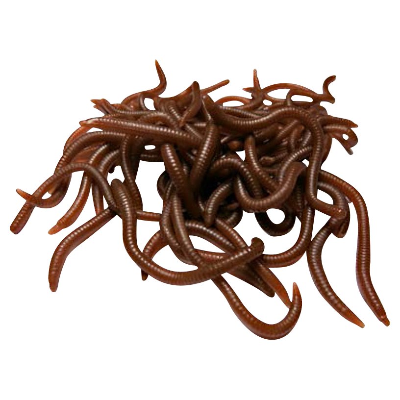 Trendex Soft Baits Artificials (Worm)