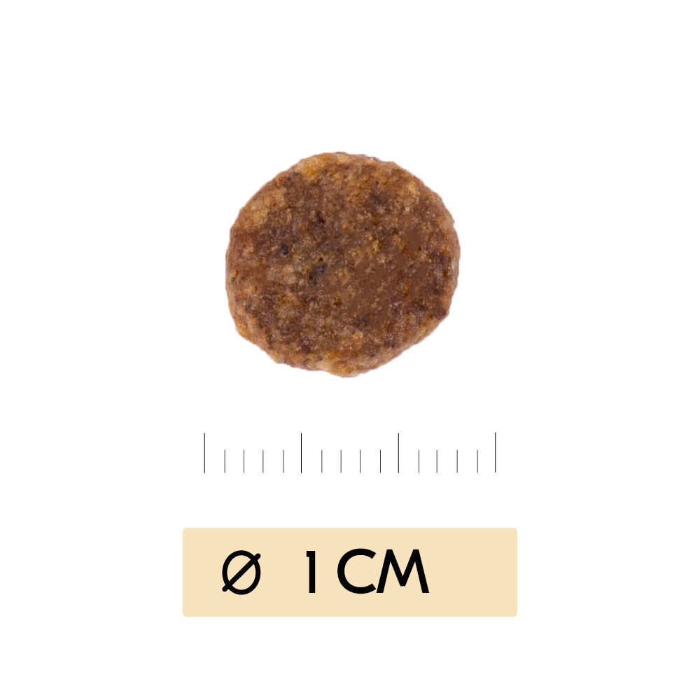 Vetality Urinary Cat - 7kg