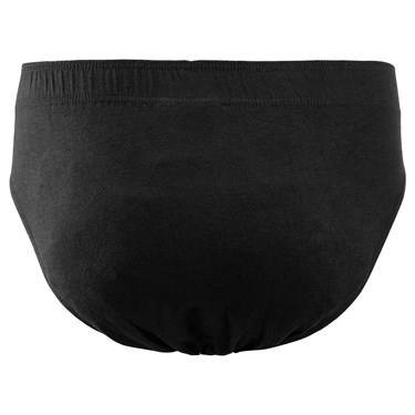 Briefs