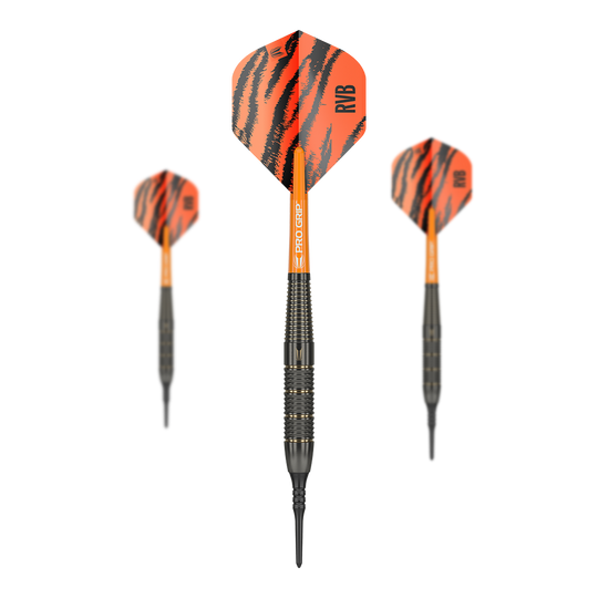 Target Raymond Van Barneveld Brass Softdarts - 18g
