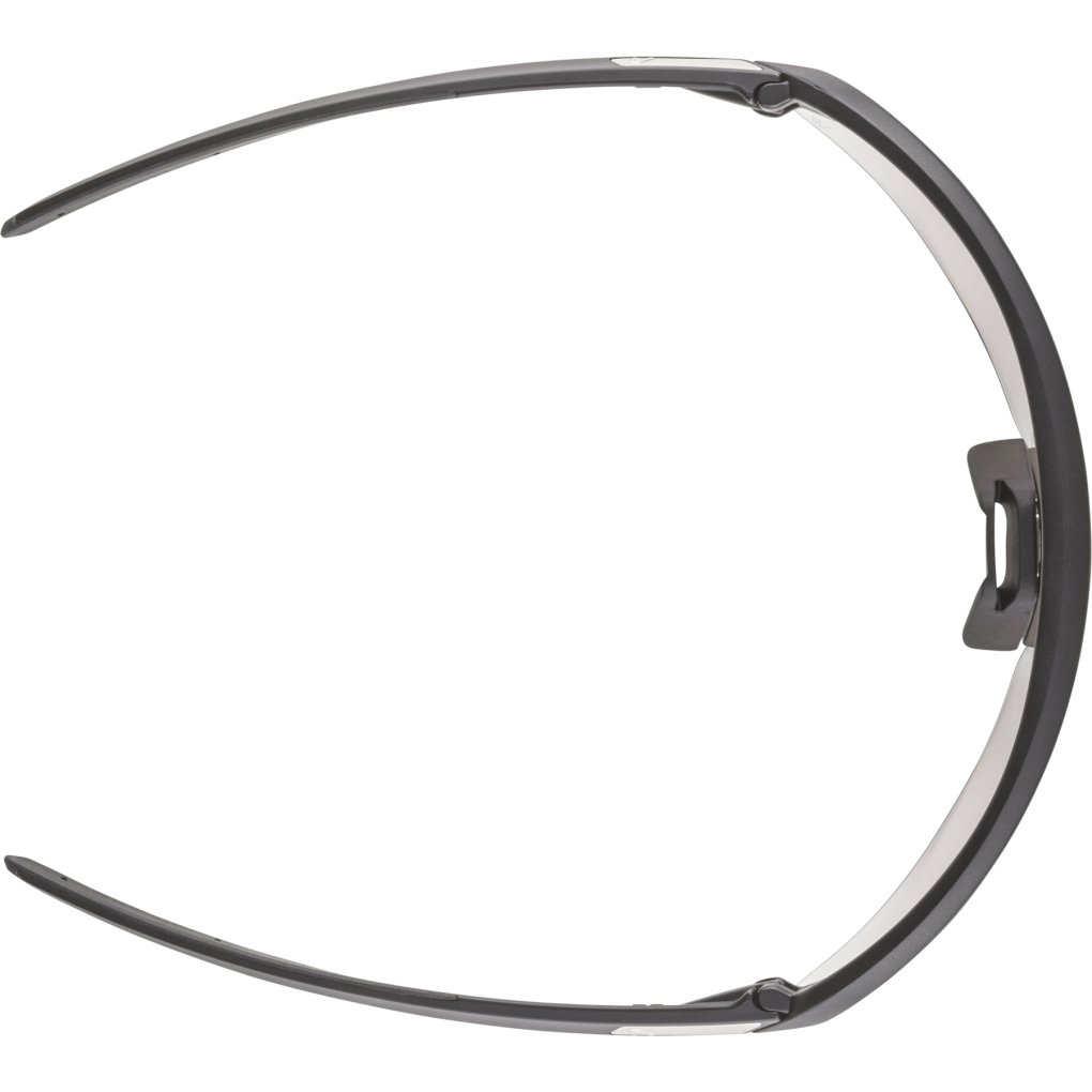 Alpina Turbo Pro V Glasses - black matt/clear to grey/flash red