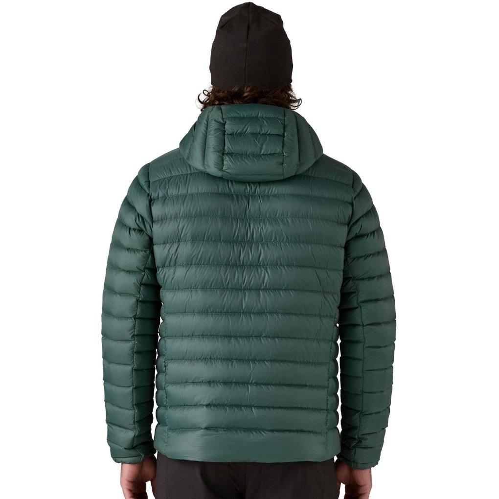 Patagonia Down Sweater Hoody Men - Cascade Green