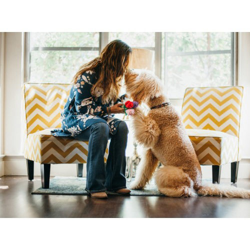 P.L.A.Y. Pet Puppy Love - Rover's Roses Pluche