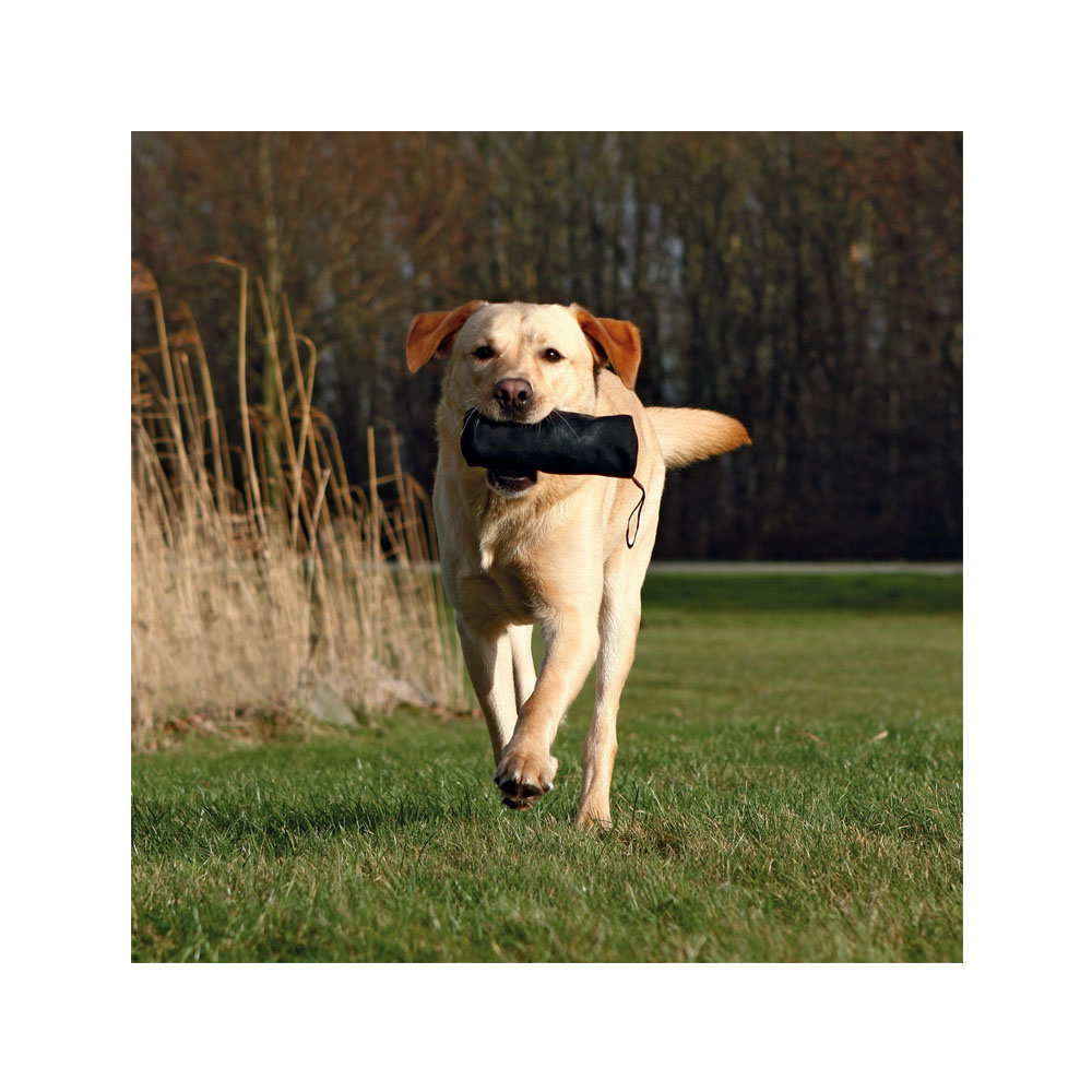 Trixie Training Dummy