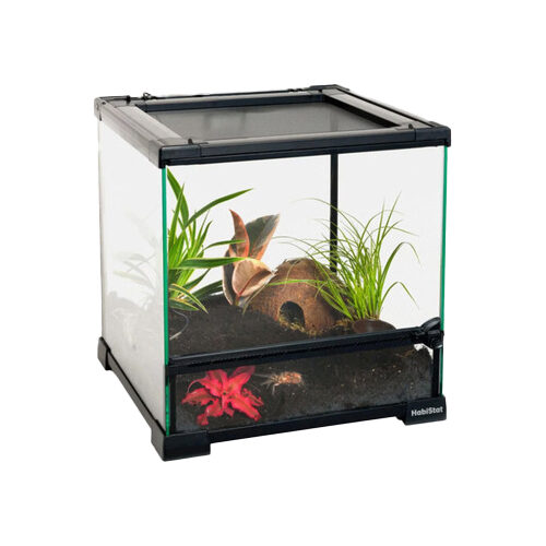 HabiStat Transparent Glass Terrarium