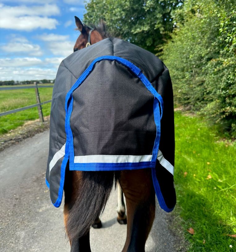 Amigo® Ripstop 900D Foal Turnout 50g