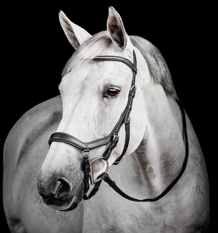 Horseware Micklem® Diamante Competition