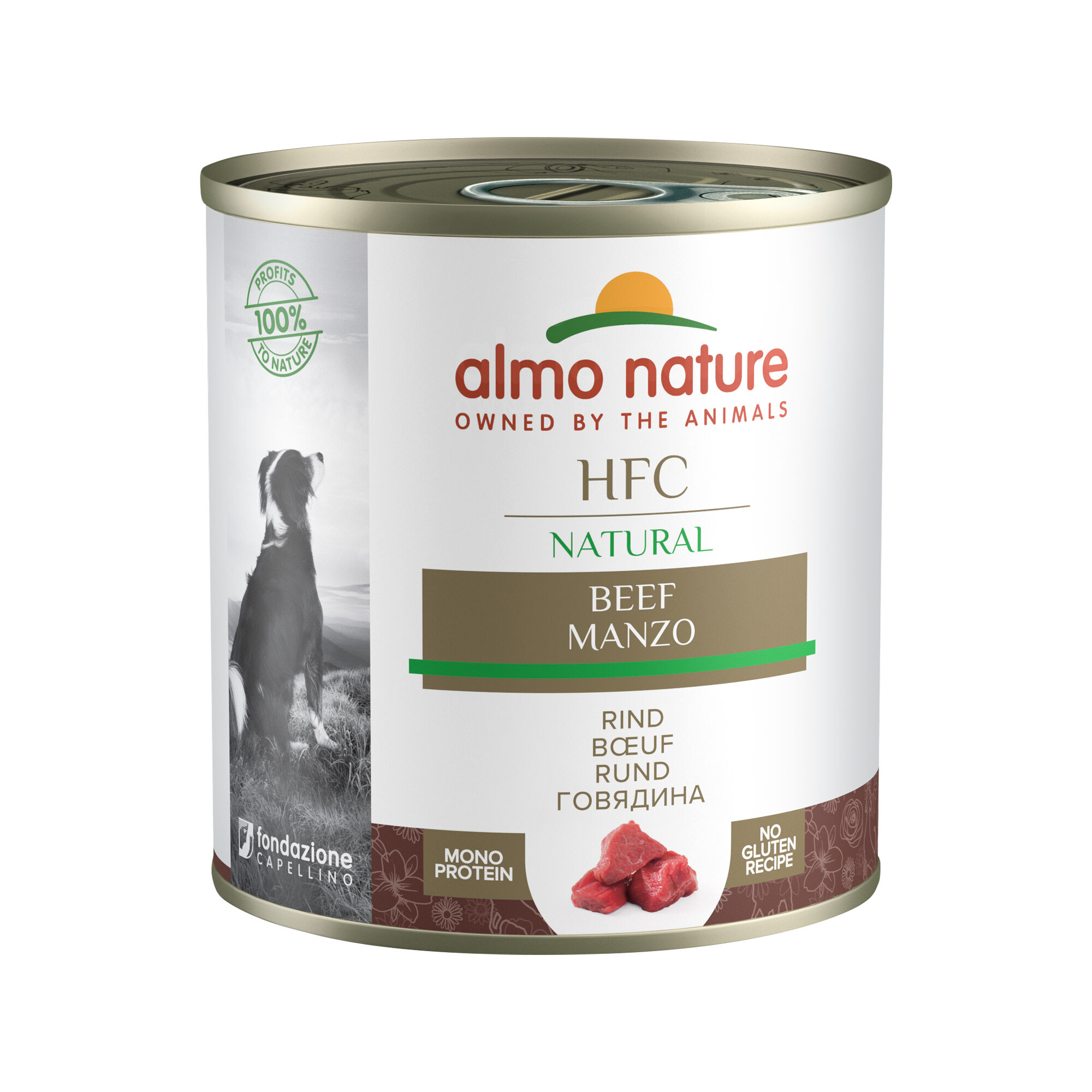 Almo Nature - Dog - Classic Adult - Beef - 12 x 290g