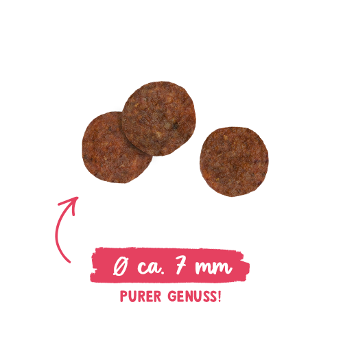 Sanabelle Adult - Poultry - 2 kg