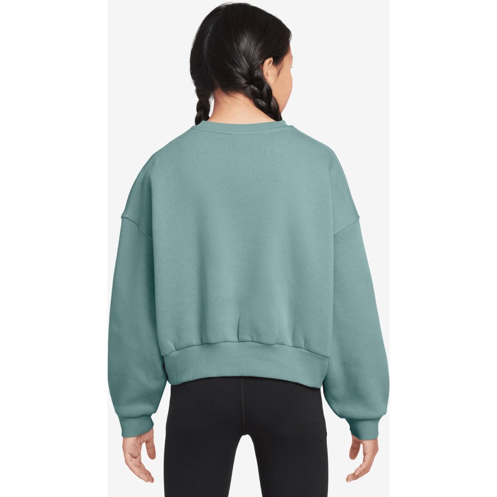Nike Sportswear Club Fleece Round Neck Sweatshirt Kids - cannon/cannon/white FZ9244-017