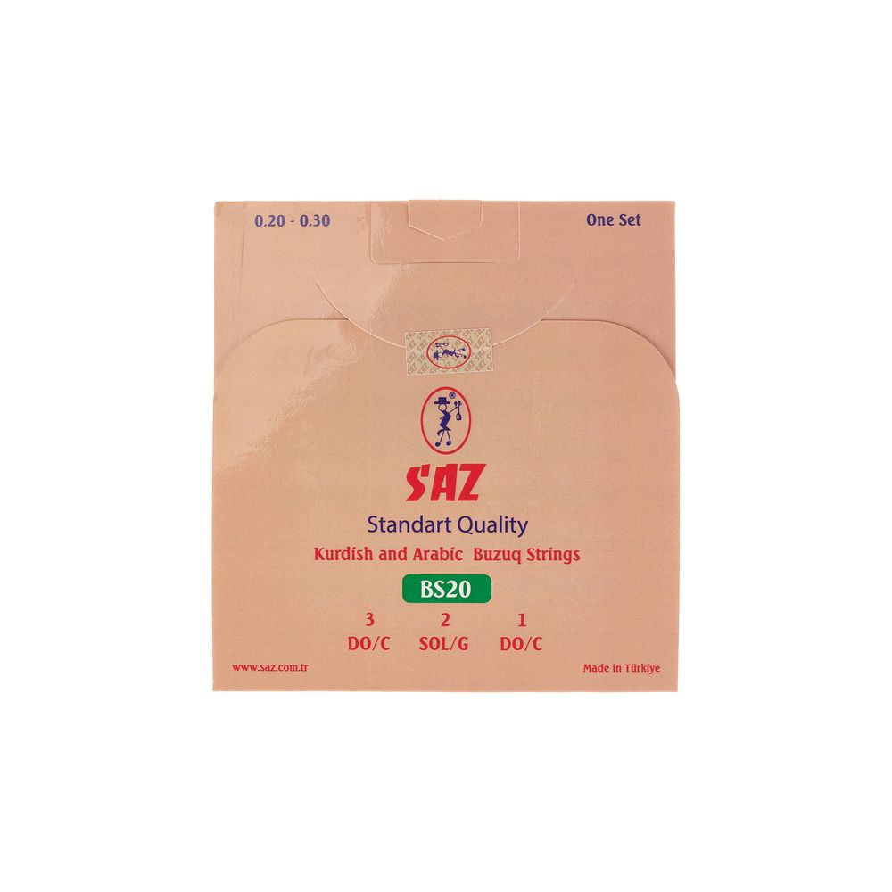 Saz BS20 Buzuq Std. Str. Silver – Thomann Ireland