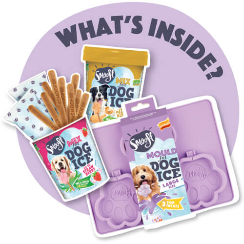 Smoofl Dog Ice Starter Kit - M