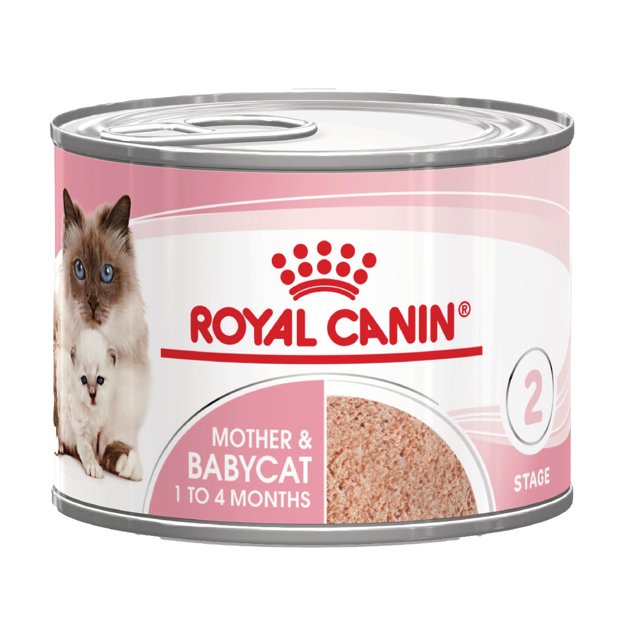 Royal Canin Mother & Babycat Mousse -  12x195g