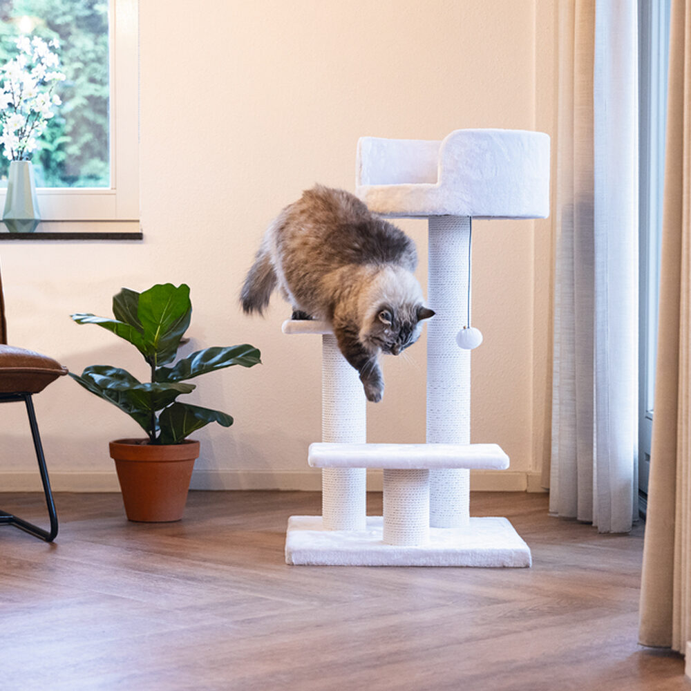 Beeztees Scratching Furniture Serpa Figo - Black - 50 x 50 x 92 cm