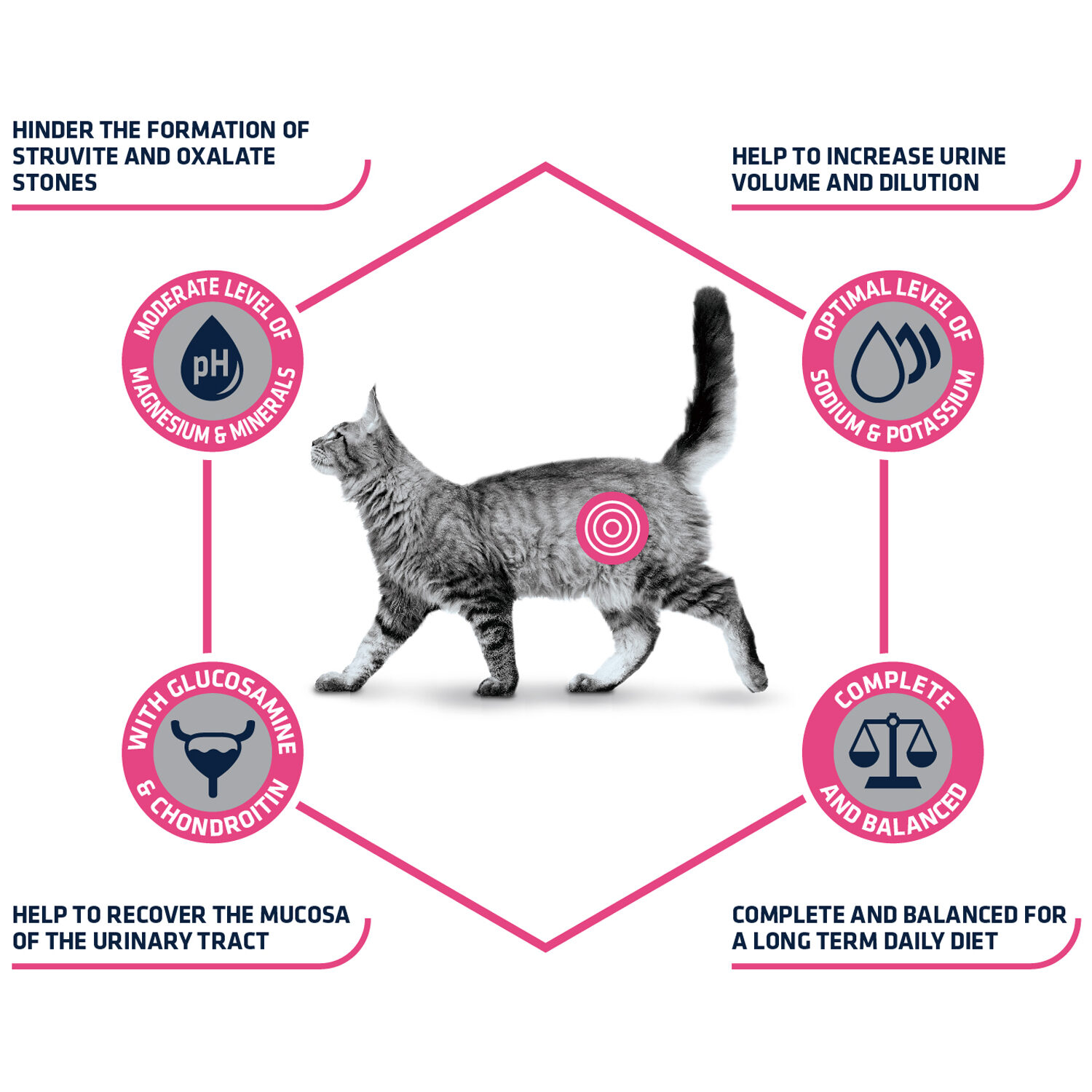 Affinity Advance Veterinary Diets Urinary Cat - 1.5 kg