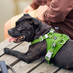 Weekend Warrior Harness II ECO