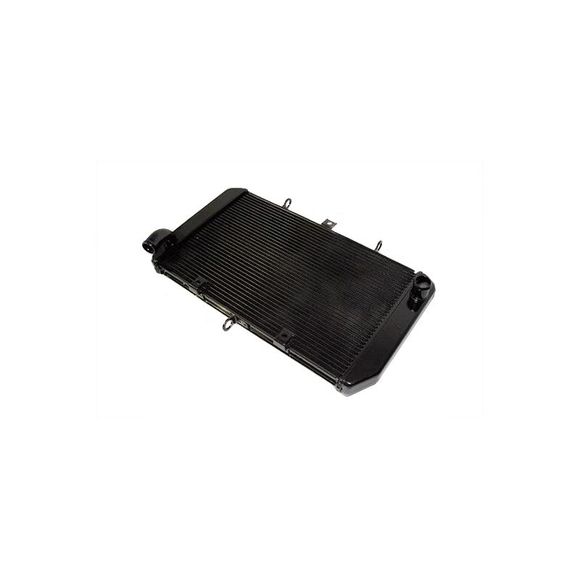 Brazoline adaptable water radiatorRef: RA1433