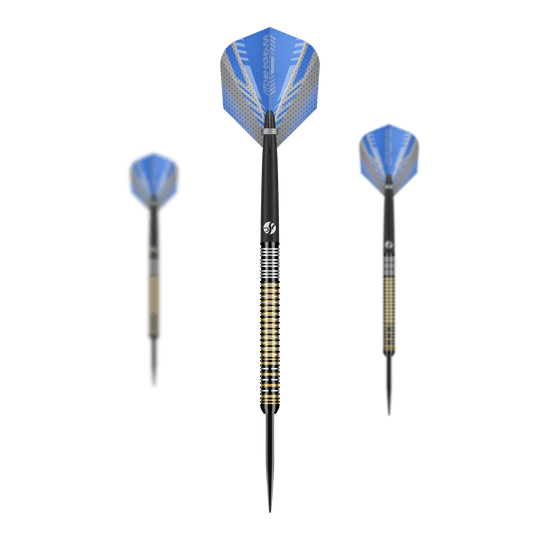 Shot Ritchie Edhouse Madhouse steel darts