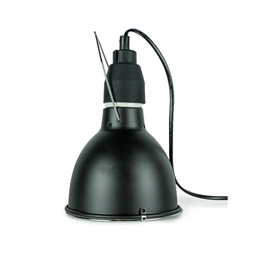 Back Zoo Nature Bird Sun UV Lamp - 35W