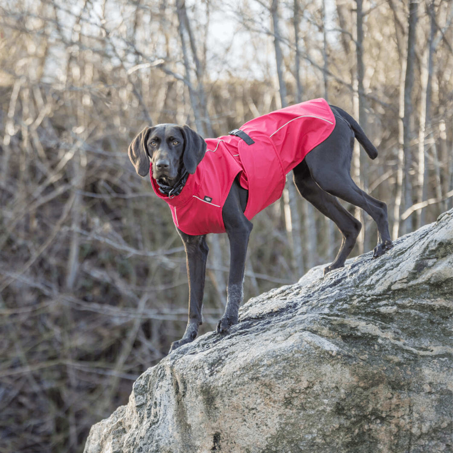 Trixie Raincoat Vimy - M -45 cm - Red