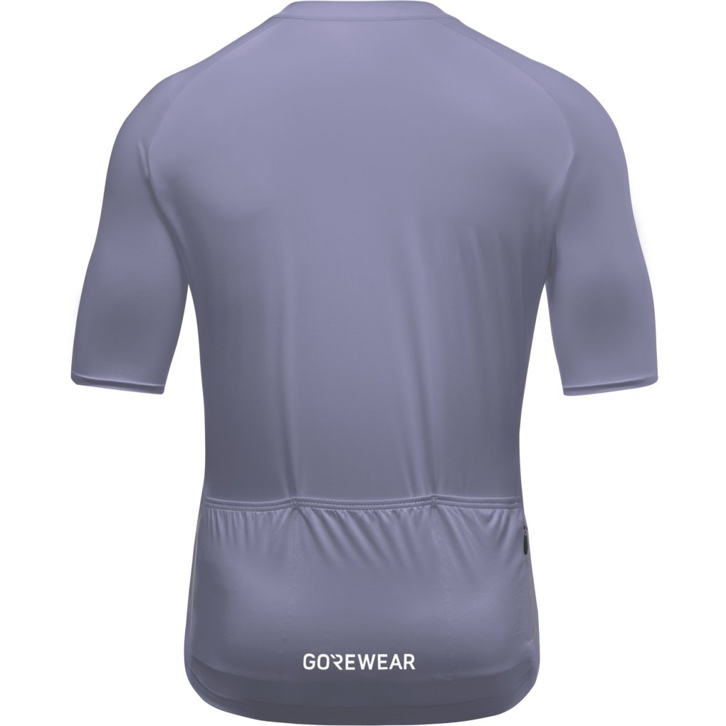 GOREWEAR Spinshift Short Sleeve Jersey Men - amethyst grey DF00