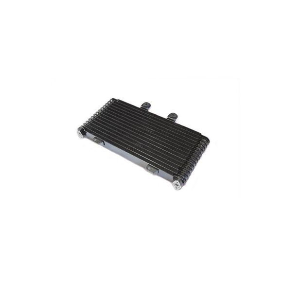 Brazoline adaptable oil radiatorRef: RA2501