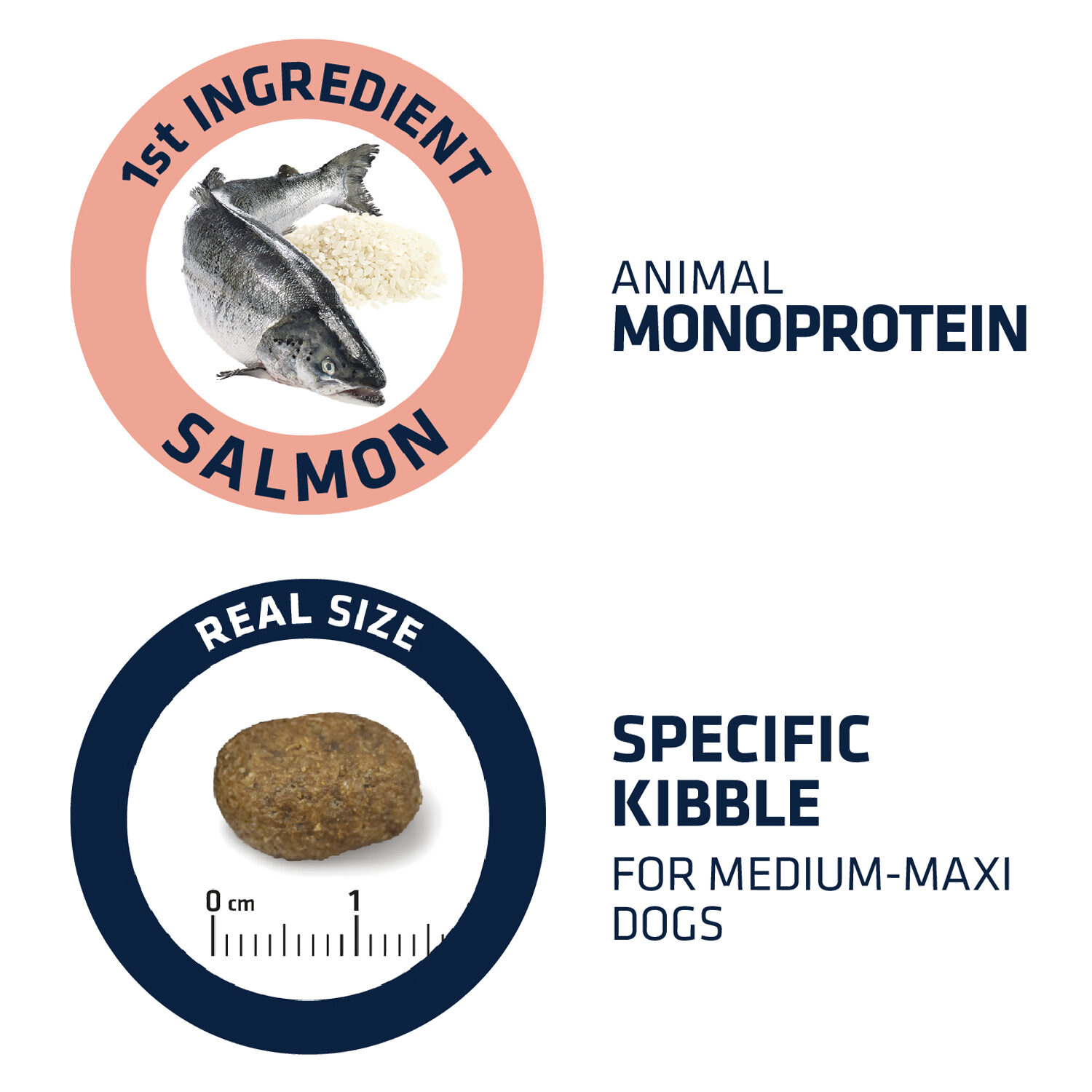 Affinity Advance Sensitive Medium/Maxi - Salmon and Rice - Dog - 12 kg