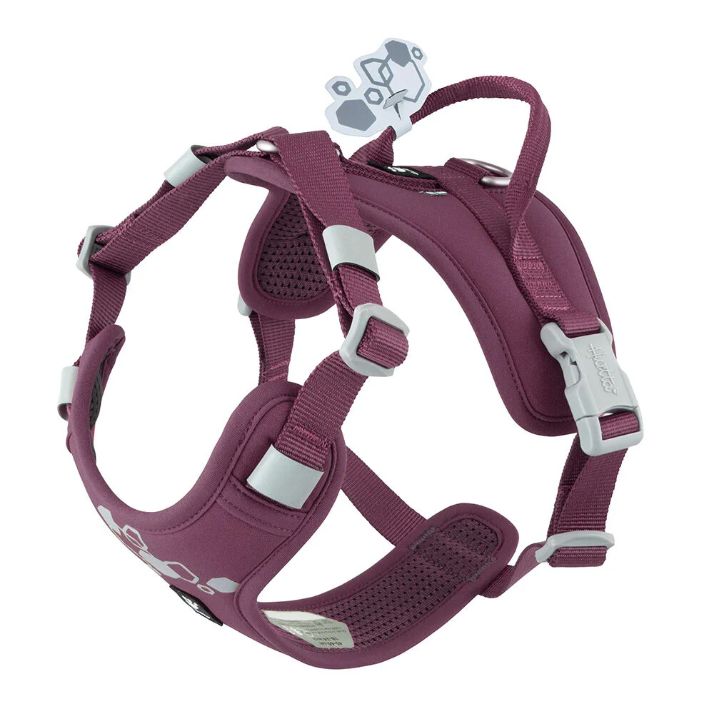 Weekend Warrior Harness II ECO