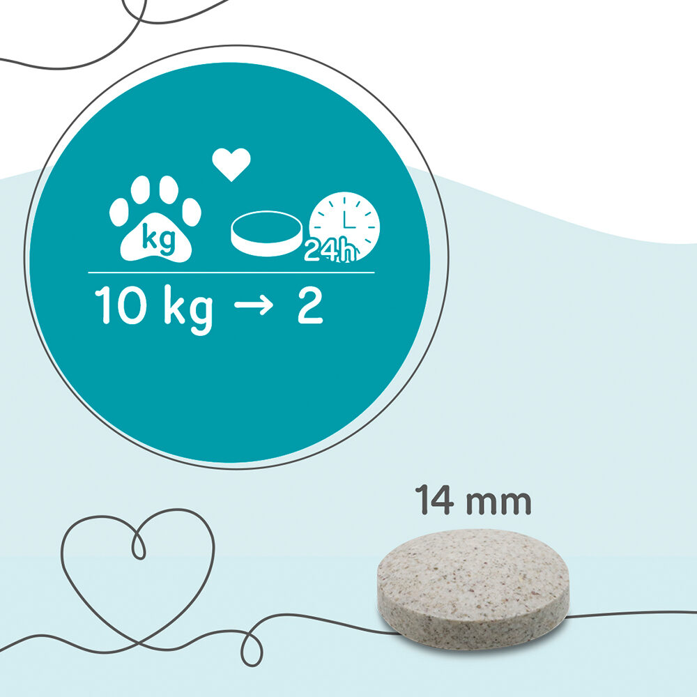 GRAU Pigment Booster - 500 pieces