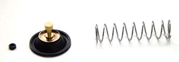 Kit Reconditioning fuel valve Tour Max Ref: Trm00980A / 1003757