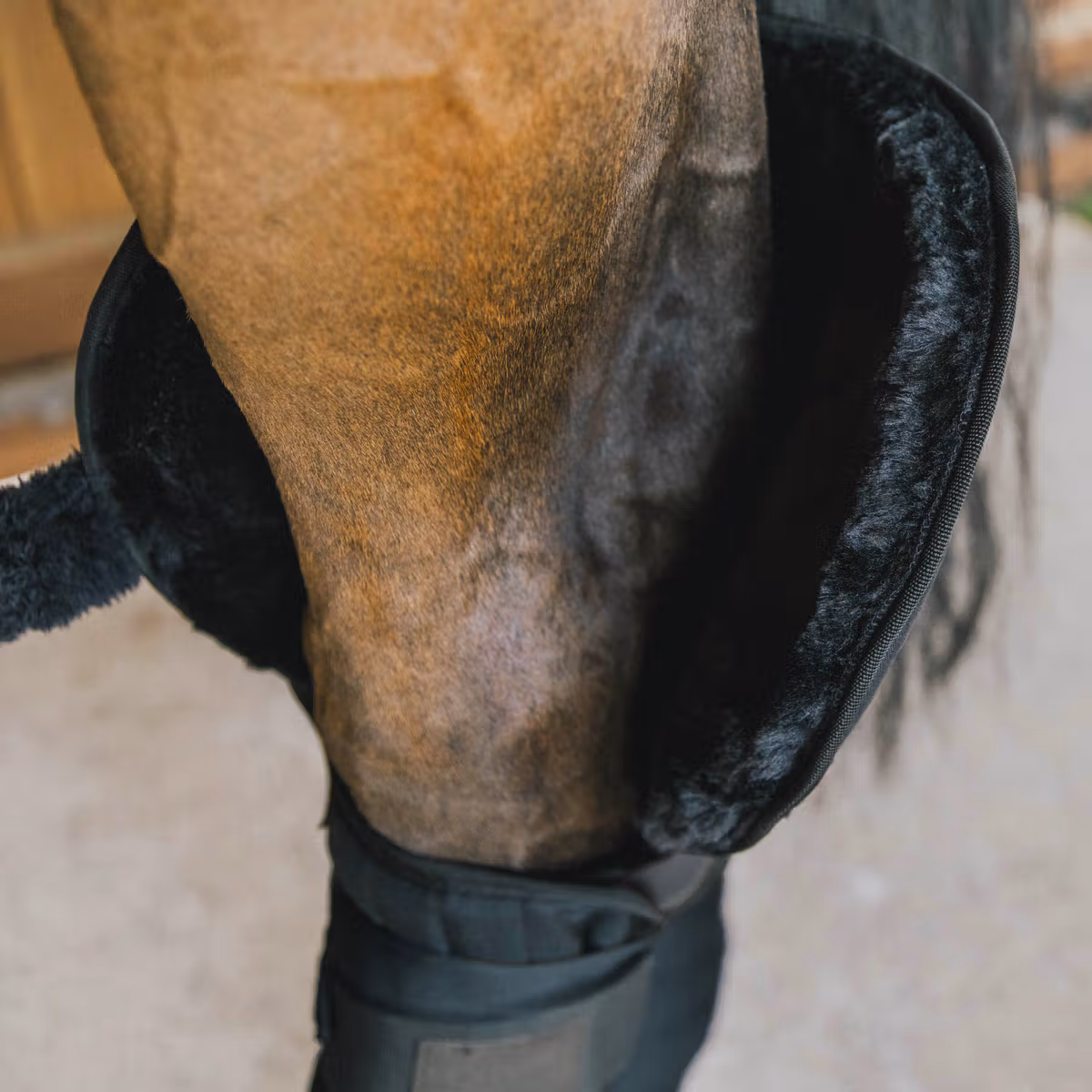 Transport Stable Bandage Pad with hock protection