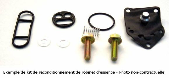 Kit Reconditioning fuel valve Tour Max Ref : TRM00983A / 1003869