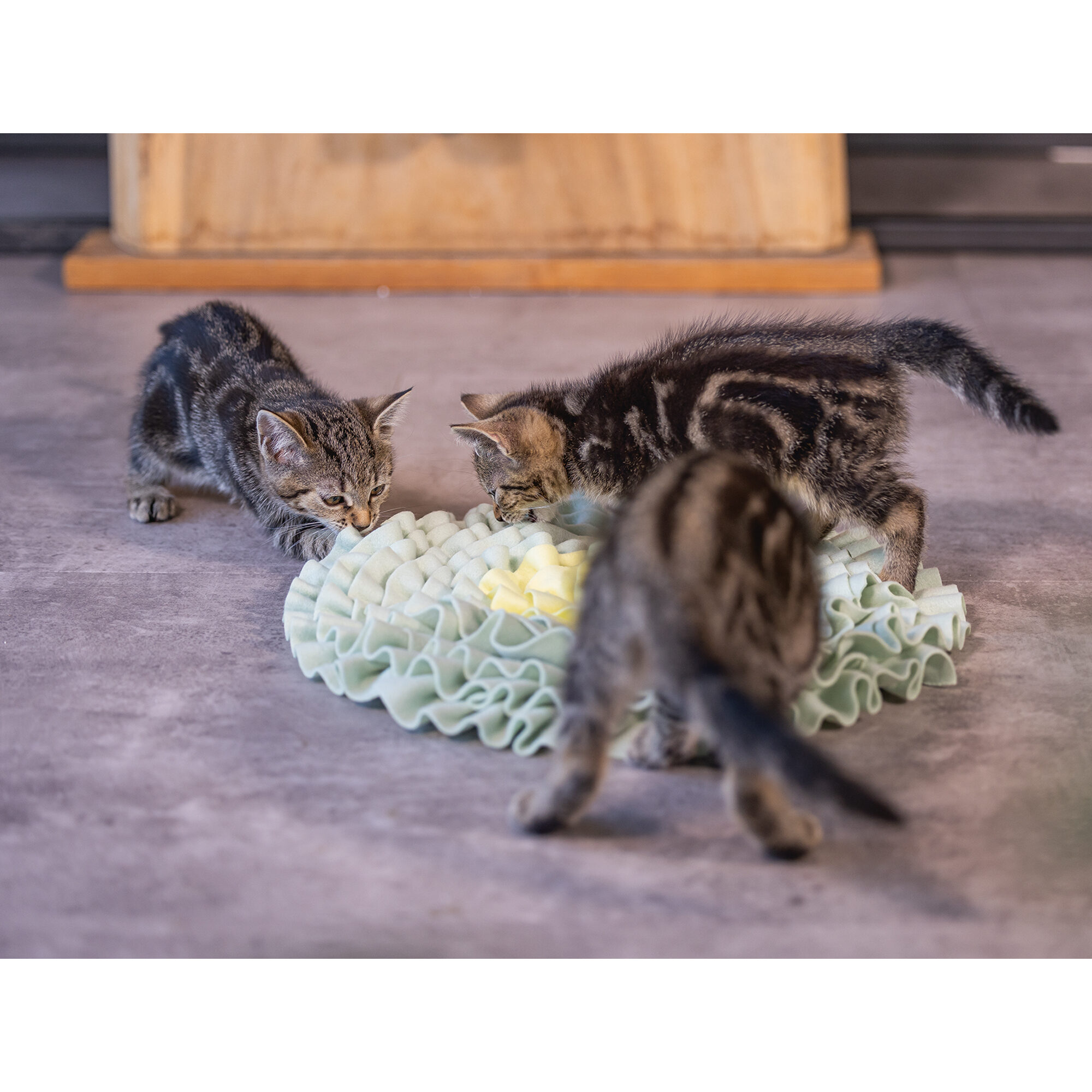 Beeztees Kitten Sniffing Mat Flowie - 38 x 38 x 3 cm