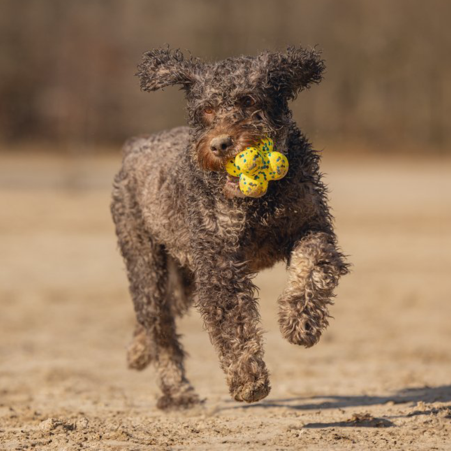 Beeztees Fetch Atom - Yellow