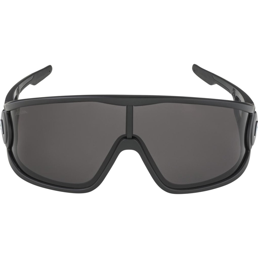 Alpina Legend Glasses - black matt/black