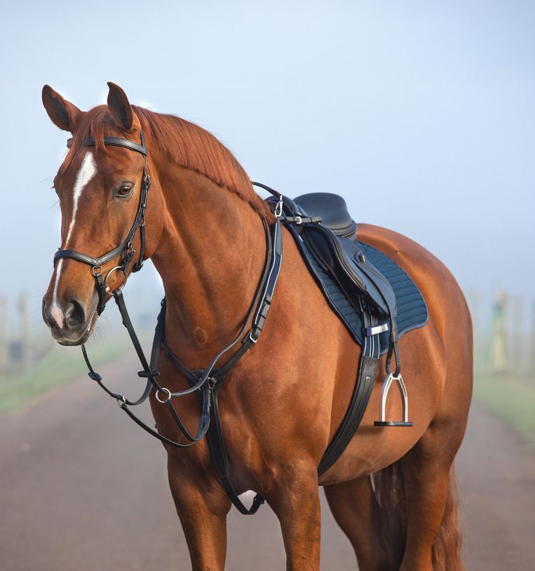 Horseware Micklem® Breastplate with Martingale