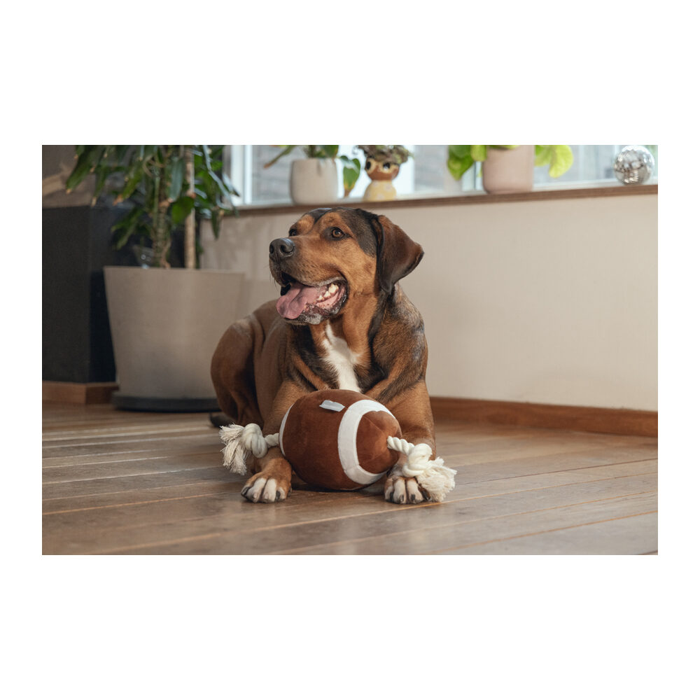 Beeztees Rugby Ball with Rope - 33 cm