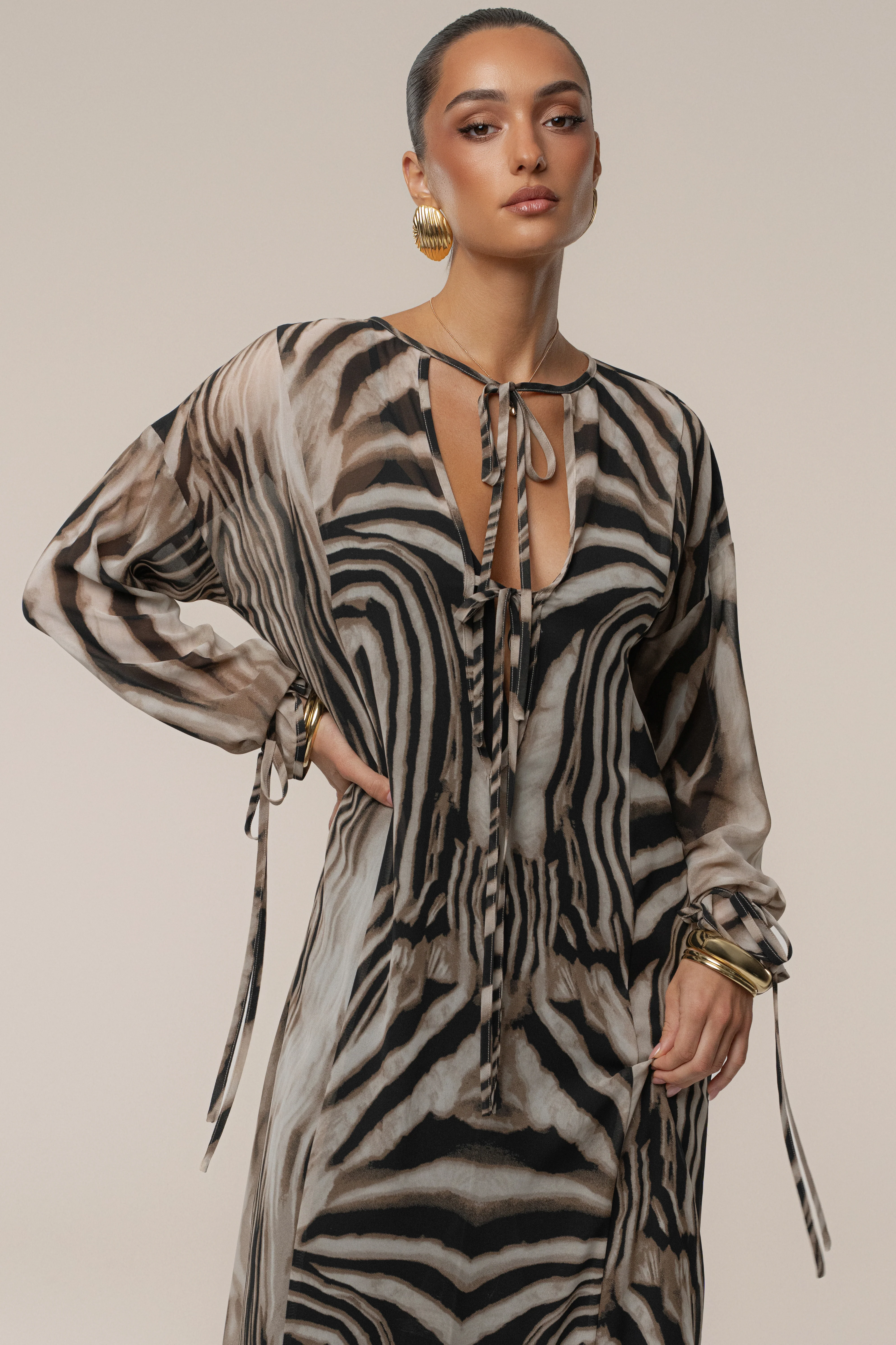 Brown Zebra Print New Vista Maxi Dress