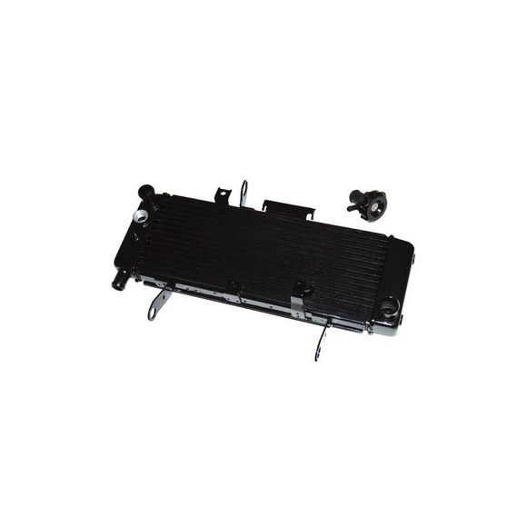 Radiateur Brazoline A EAU ADAPTABLESUZUKI 650 SV 650 S - 2003 - 2004Ref : RA2666