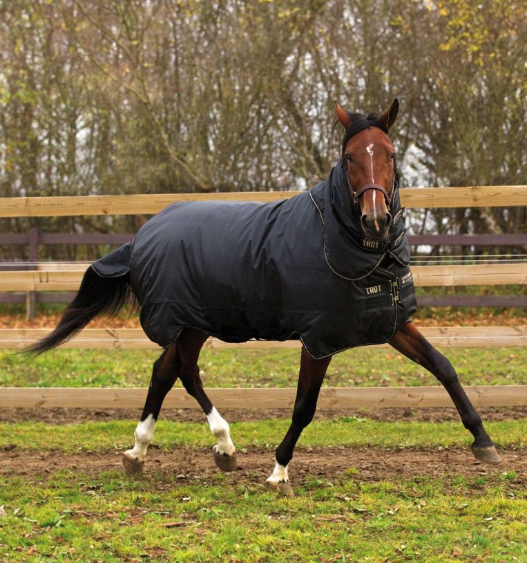 Horseware® Trot Turnout (350g Heavy)