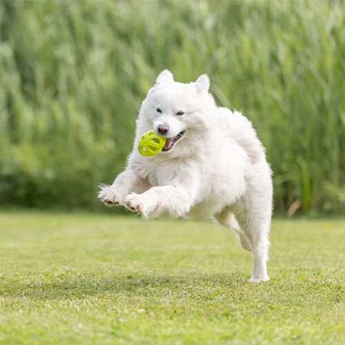 Trixie Honeycomb Rugby Ball