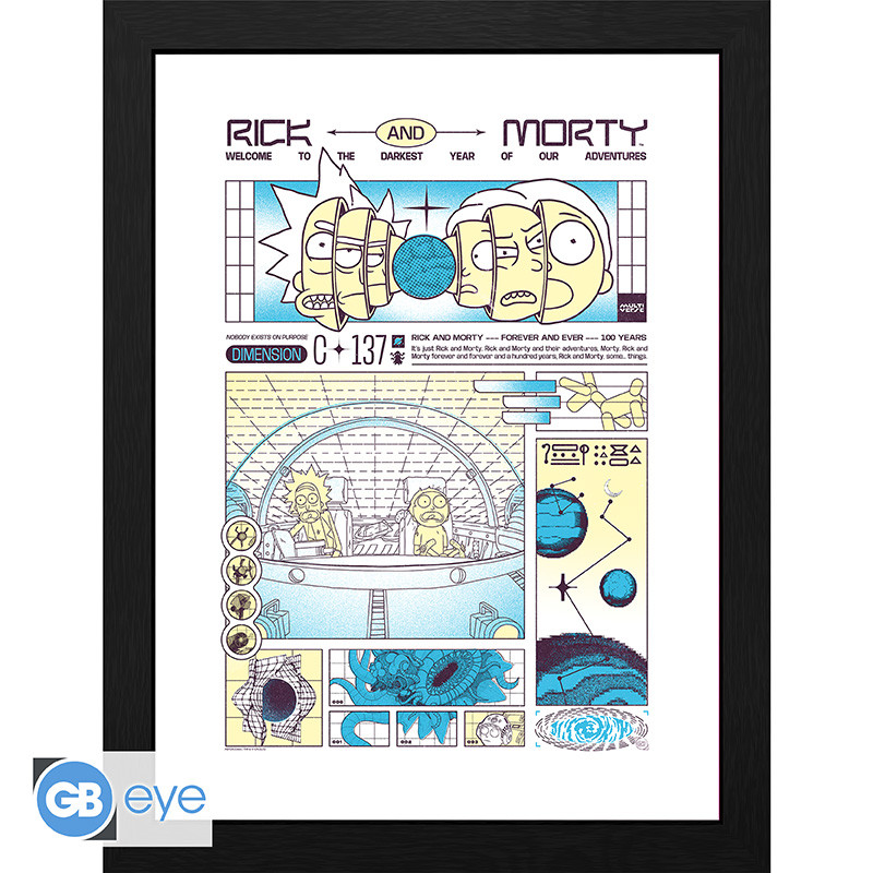 RICK AND MORTY Framed print 